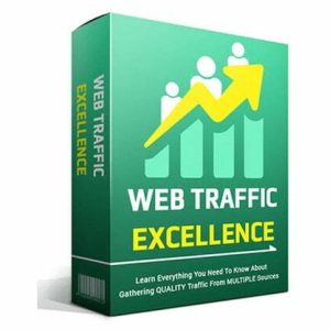 Web Traffic Excellence